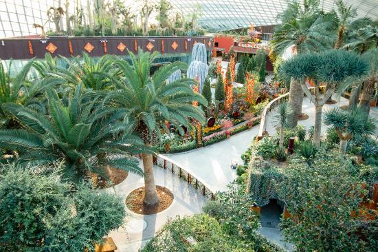 Flower Dome Bahçesi